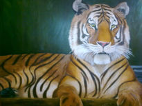 Tigre