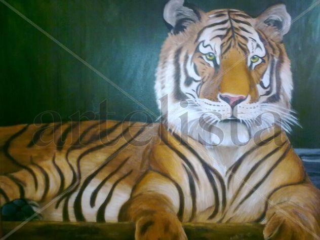 TIGRE