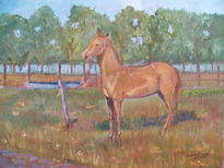 Yatasto mi caballo