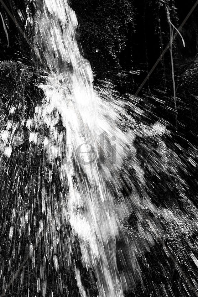 Agua