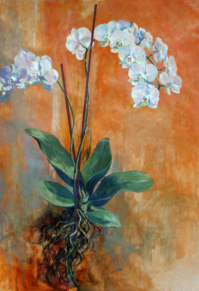 Orquidéa