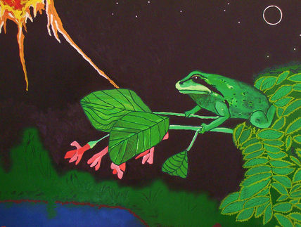Rana de noche