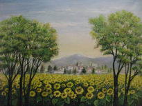 Campo de girasoles