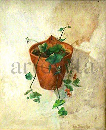 Maceta de geranios