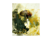 Boletus