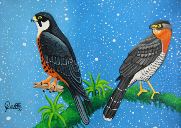 HALCONES II