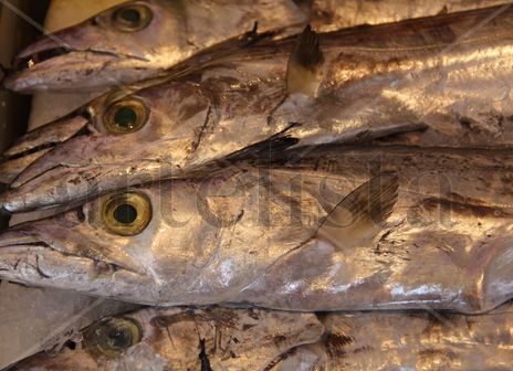 ‟Pescado"