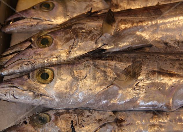 ‟Pescado"