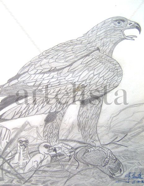 Águila con crias