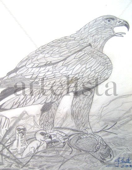 Águila con crias Charcoal