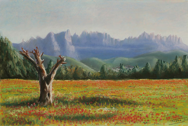 Muntanyes de Montserrat i arbres