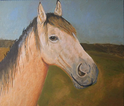 Cabeza  de caballo