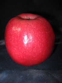 Manzana Roja