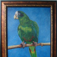 obra