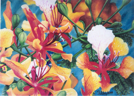 Fuego tropical