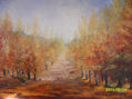 Otoño en Mendoza