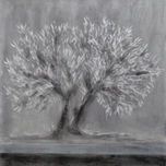 OLIVOS thumbnail 1