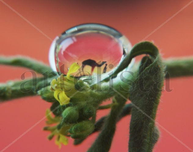 gota de agua