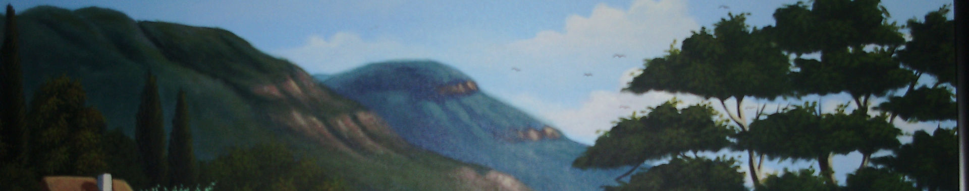 Imagen de portada