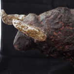 El Toro thumbnail 1