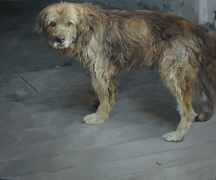 Perro Mestizo