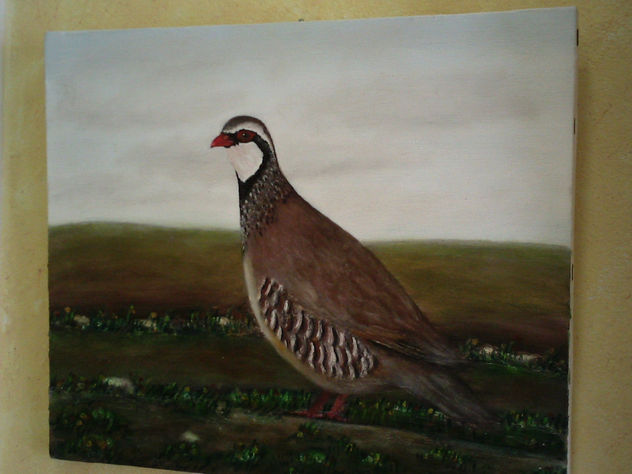 PERDIZ