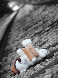 Lost teddy bear