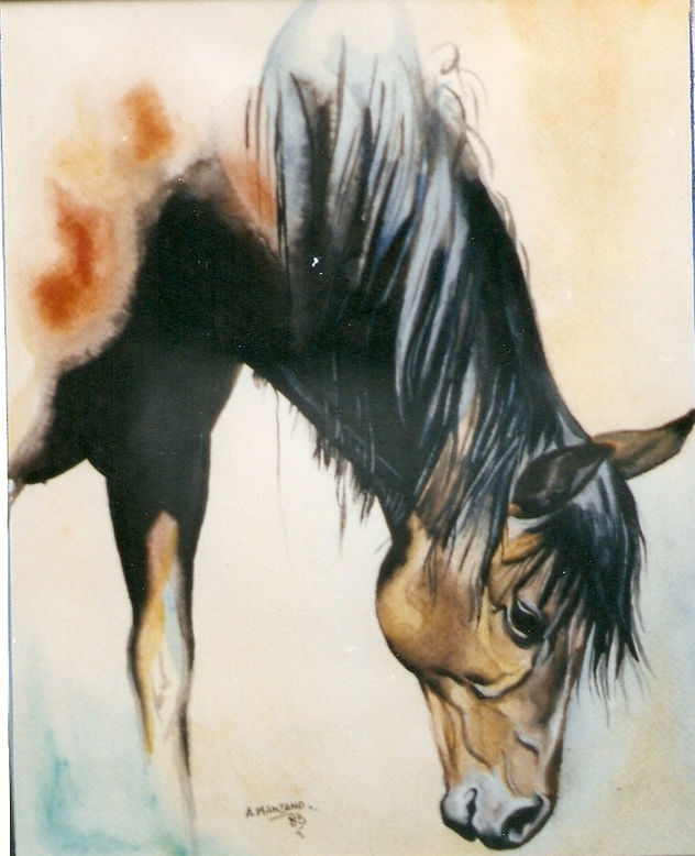 caballo