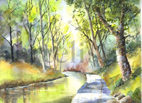 Canal