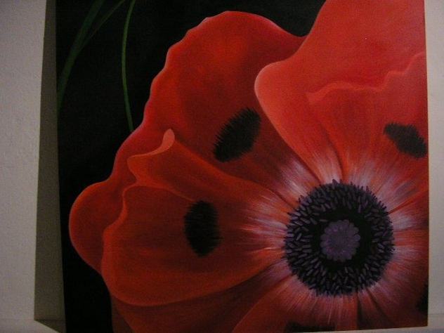 amapola