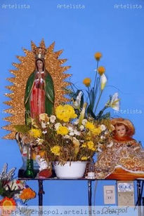 Guadalupe 131