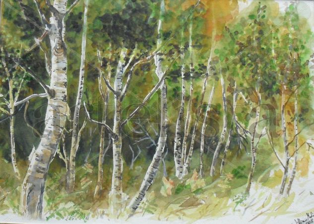 Bosque de verano Acuarela Papel Paisaje