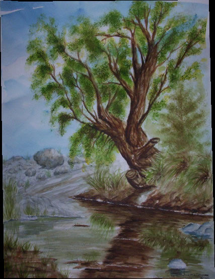 una mañana en el rio