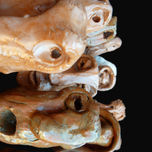 METAMORFOSIS2011 thumbnail 1