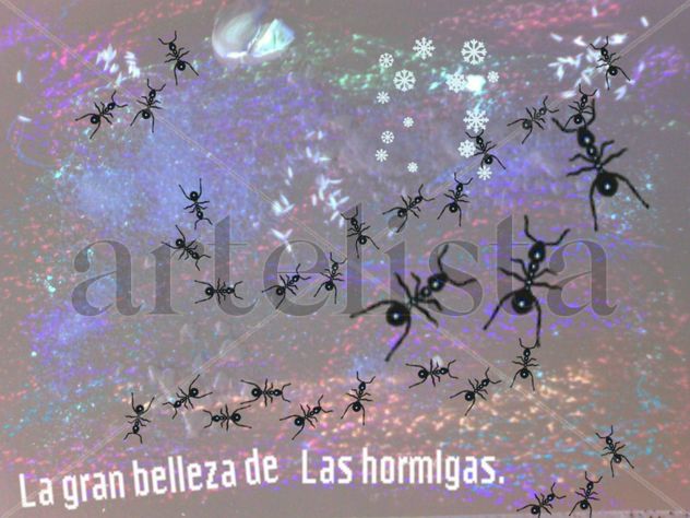 COMPOSICION CON HORMIGAS