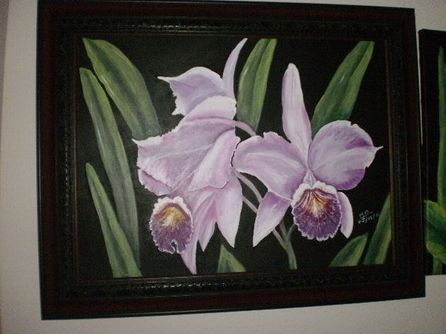 orquideas