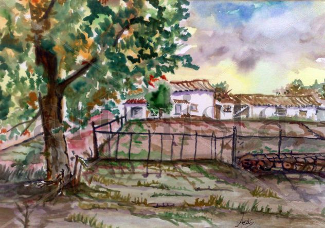 "higuera"