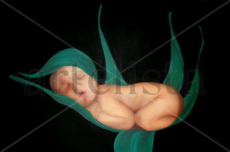 Bebe en capullo a...