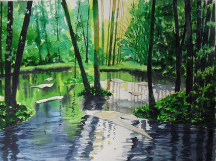 Laguna del bosque