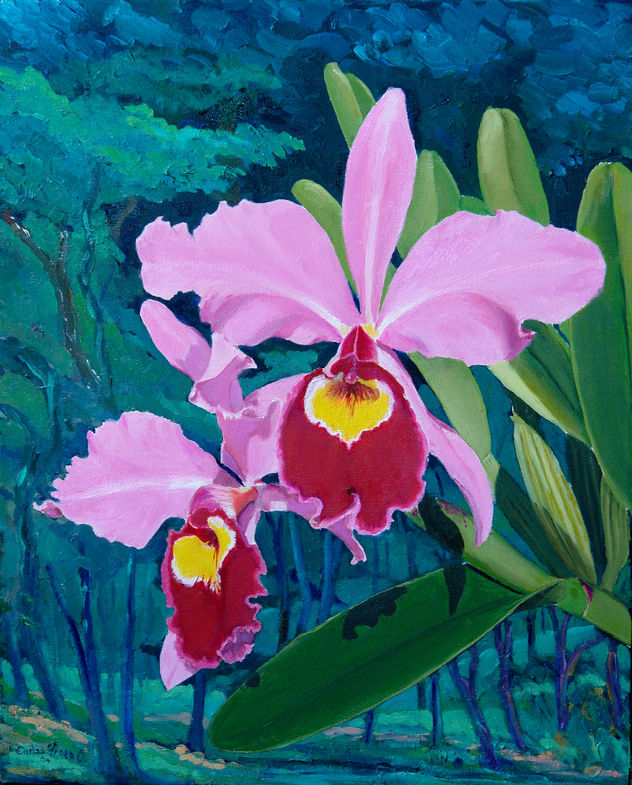 cattleya gigas