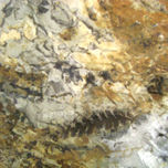 Valle de la Luna (San Juan, Argentina). thumbnail 1