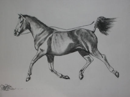 Corre caballito