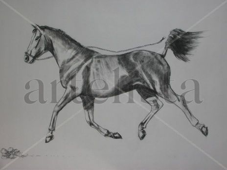 Corre caballito