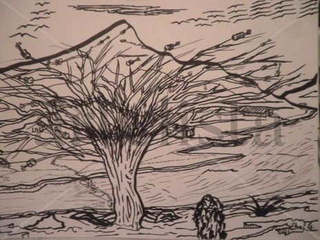 Paisaje