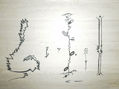 compas n clave d (G) con barras de repeticion a infinitos laterales nadir y cenit