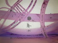 sonidos vibraciones energias ,,,canales de transportacion,vehiculos,seres inteligentes,