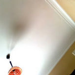 FLOR DE POETA thumbnail 1