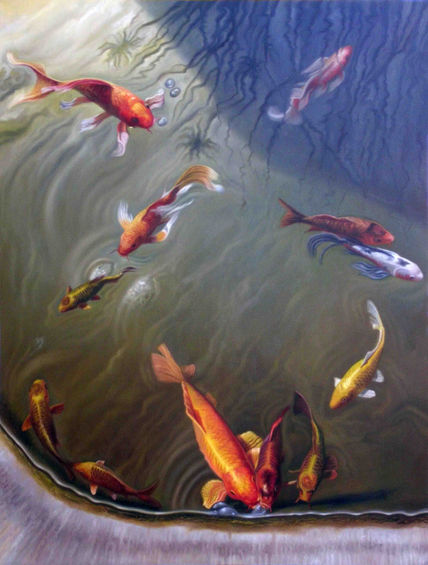 Peces