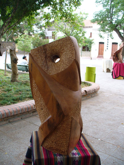 "ave nocturna"