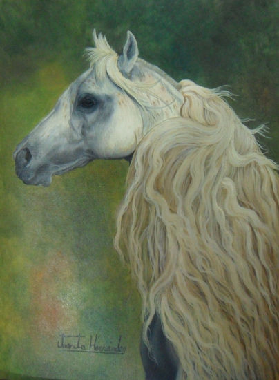 Caballo III Oil Paper Animals